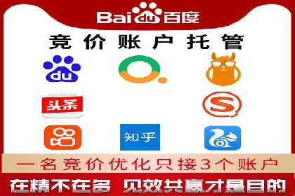 专业SEM托管服务，案例展示精准营销成果